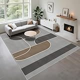 Tapis fin : Ce tapis a une épaisseur de 0,5 cm. Cette conception permet de mieux le placer sous les meubles et les portes, facilitant ainsi le travail du robot balayeur