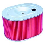 HiFlo Filter HIFLO HFA1906 HON Air Filters Air FilterGL1200 - HFA1906