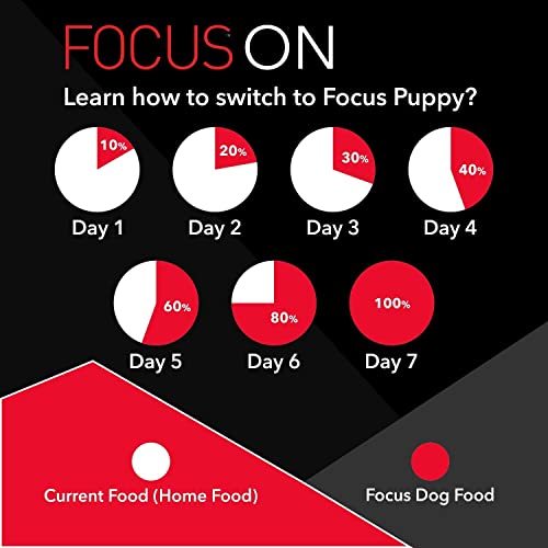 Image of Dog Food Focus Adult Super Premium Dog Food, 15 x 100gm