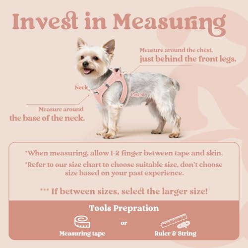 rabbitgoo Dog Harness Small Breed, Step-in Soft Mesh Puppy Vest with Safety Buckle, Breathable Reflective No Pull Pet Harness for Small Sized Dogs, Pink M by rabbitgoo - Image 2