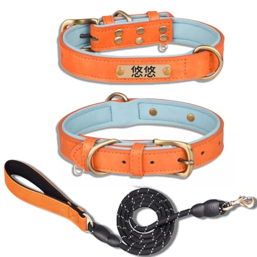 ybgpi n[lX ̎ v U[ y ʋCpbh  킢 U[ [htTCY߉\ ^A^A^p