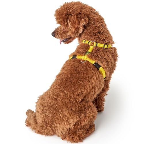 HUNTER TRIPOLI Hundegeschirr, kleine Hunde, Nylon, reflektierend, robust, XS-S, gelb