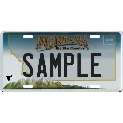Custom Personalized Metal License Plate Your Name Your State - Choose from All 50 States