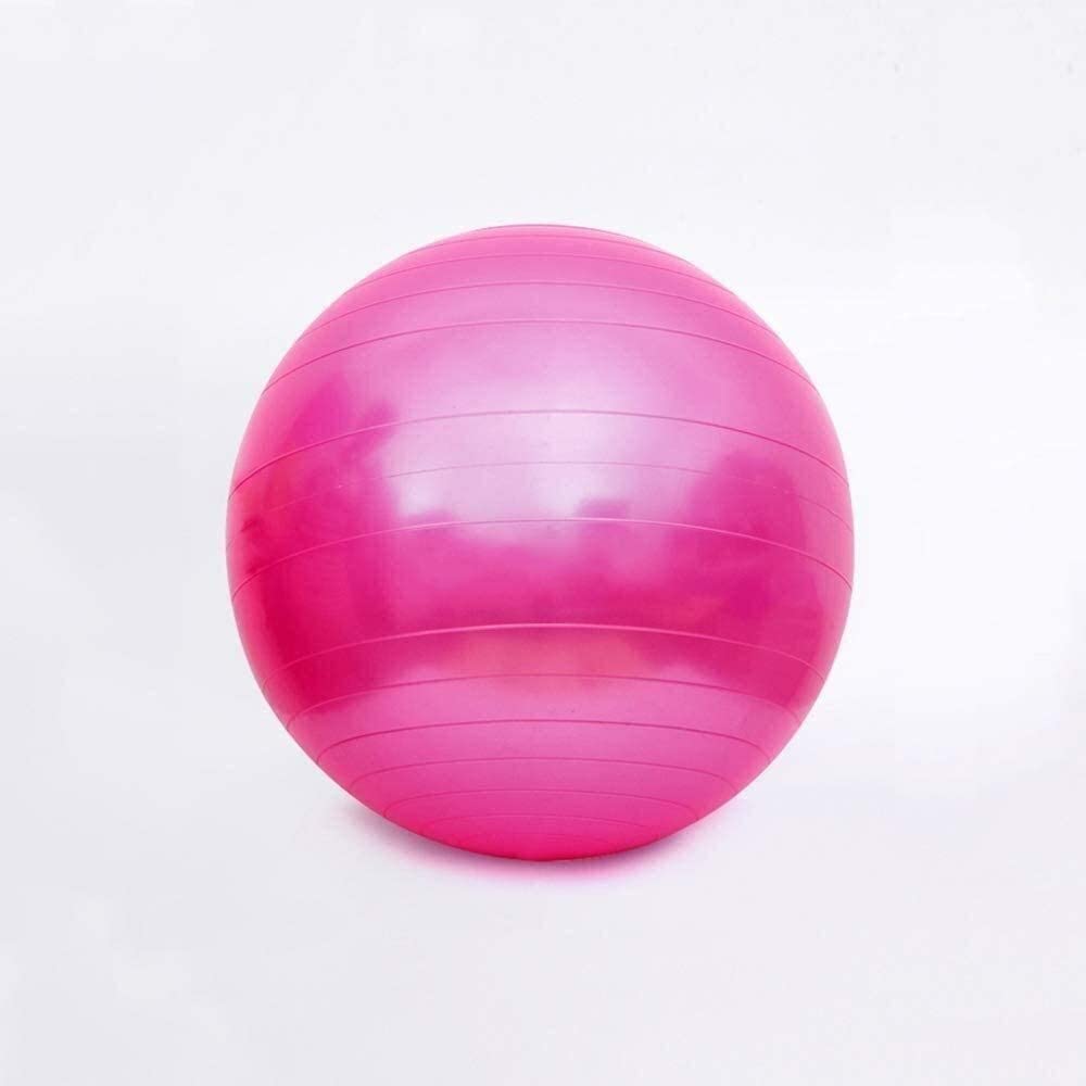 Balle d'entraînement équilibre et perte de poids 75cm rose pour gym douce