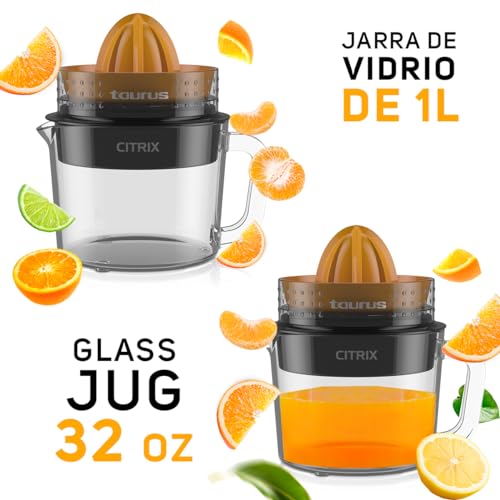 Mejores comprativas On-line Jugueras silenciosas listamos los 10 mejores. 12 Imagen adicional