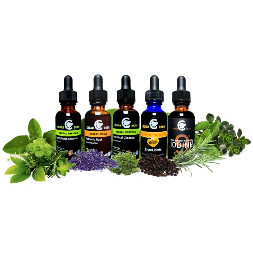 Cedar Bear Adrenal Balance - Liquid Herbal Supplement With Adaptogens That Fights Fatigue, Manage Stress And Increase Energy 1 Fl Oz / 30 Ml #TOP4