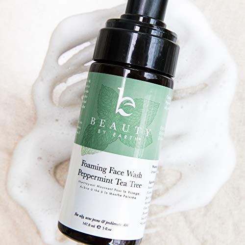 Top 10 Best facial cleanser acne Reviews NecoleBitchie