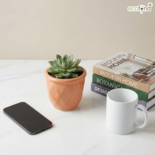 Image of ecofynd 4 Inch Ceramic Plant Pots with Drainage Hole, Modern Decorative Clay Flower Pots for Indoor Plants, Home Garden Decor for Living Room, Bedroom & Interior Spaces (CPOT043-PEH)