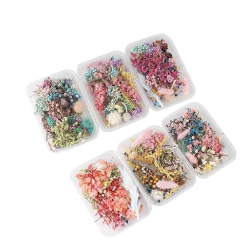 Flores secas prensadas para arte y manualidades miniatura 1