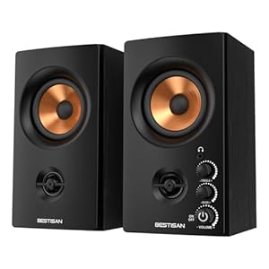BESTISAN Aktive Regallautsprecher mit Bluetooth- und RCA-Eingang | HiFi-Klang für PC, Desktop, Gaming | Kompakte Holz-Lautsprecher, 7,6 cm (3 Zoll)