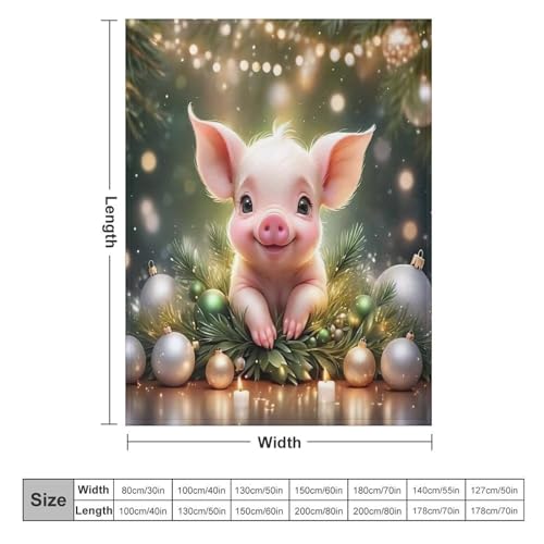 Couverture polaire cochon douce anti-frissons en flannel moelleuse pour lit et divan - 6