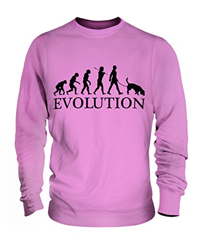 Sweat Braque Allemand Évolution cadeau idéal pour propriétaire de chien - 2