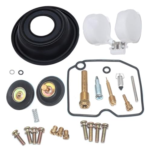 Kit r&eacute;paration carburateur Kawasaki Vulcan 800 VN800 plongeur flotteur moto