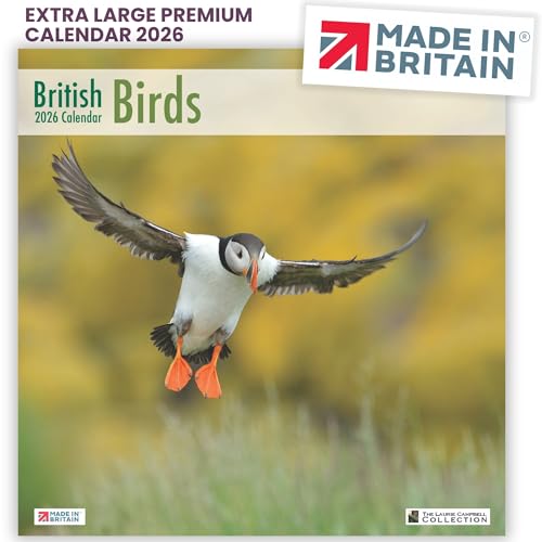 ALLTRADE Calendar 2026 British Birds Gift Wall Calendar 61x30.5cm by Laurie Campbell Large Premium FSC Paper UK Holidays Supports Woodland Trust Carbon Capture Great Gift