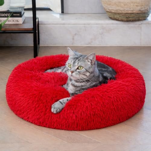 Image of ZEXSAZONE Summer Small Cat Bed Donut Shape for Kittens & Small Dogs | Soft Plush Washable Puppy Bed | Raised Sides for Head & Neck Support | Reversible 2-in-1 Pet Cushion Red