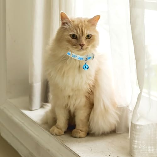 Collar antipérdida gato silicona transpirable y collar fluorescente perro 6