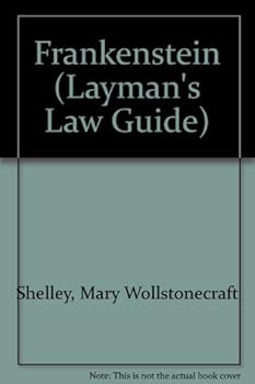 Hardcover Understanding Immigration Law: How to Enter, Work and Live in the United States (Layman's Law Guide) Book