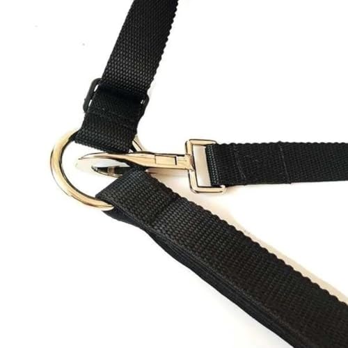 Masque buccal de cheval noir avec sangle réglable - 4