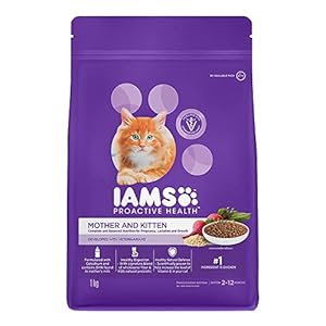 IAMS Mother & Kitten (2-12 Months) Dry Cat Food with Chicken, 1 Kg