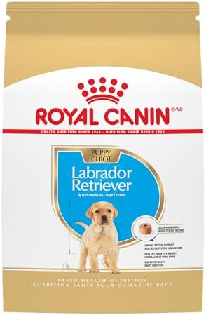 Royal Canin Breed Health Nutrition Labrador Retriever Puppy Dry Dog Food, 30 lb.