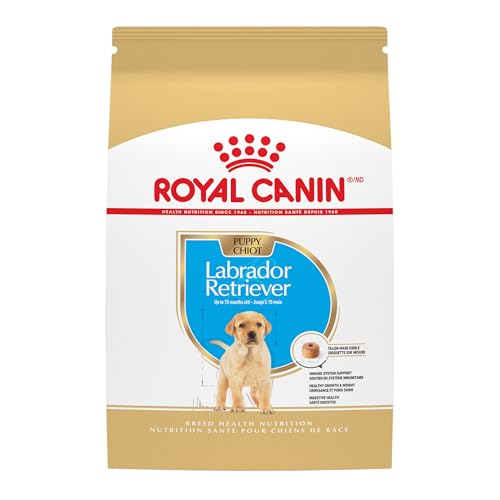 Royal Canin Breed Health Nutrition Labrador Retriever Puppy Dry Dog Food, 30 lb.