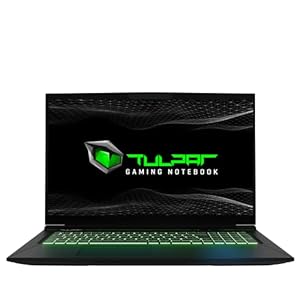 TULPAR T7 V20.5 Gaming Laptop | 17,3'' FHD 1920X1080 144HZ IPS LED-Display | Intel Core i7 12700H | 16 GB RAM | 1 TB SSD | Nvidia RTX 3060 | Gaming Notebook