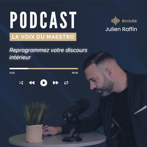 Reprogrammez votre discours int&eacute;rieur : Strat&eacute;gies pour un discours int&eacute;rieur positif et succ&egrave;s dans l'immobilier avec La voix du MAESTRO