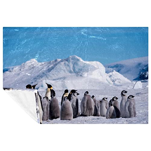 Couverture douce contre le froid plaid pingouins compact lit canapé - 2