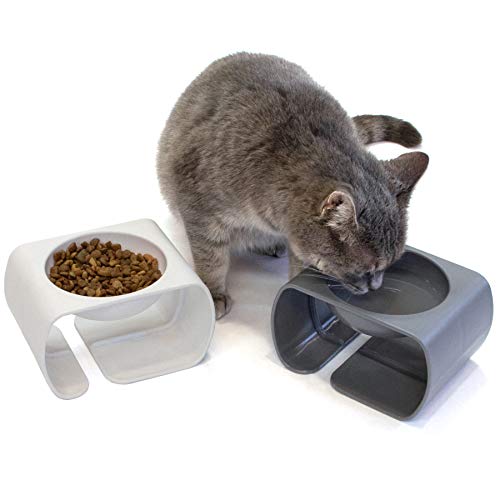 Image of Kitty City Raised Cat Food Bowl Collection /Stress Free Pet Feeder and Waterer and Slow Feed Bowls