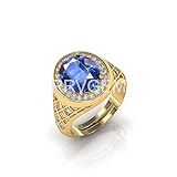 RRVGEM