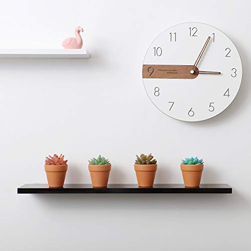 T4U Vaso Terracotta in Argilla Rosso 6.5CM Argilla...