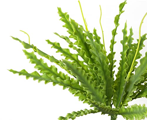 Leaf Design Artificial Plants, Crocodile Fern, 40cm LEAFFERNS0834 - Image 4