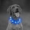 PetSol LED Halsband Extra heldere USB oplaadbare LED-halsband op maat gesneden Universele pasvorm Weerbestendig Eenvoudig schoon Verbetert zichtbaarheid en veiligheid voor uw hond (Blauw)