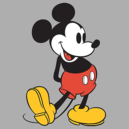 Disney Characters Classic Mickey Boy's Crew Tee2