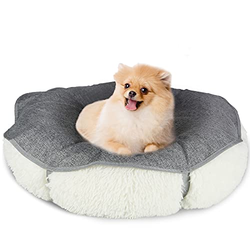 throne dog bed