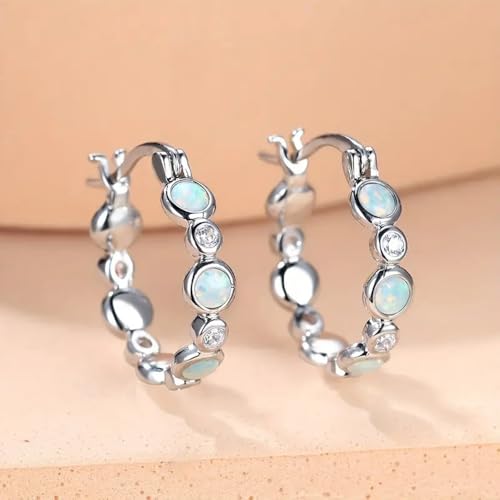 Exquisite Dainty Hoop Earrings for Women Versatile Charms Daily Jewelry