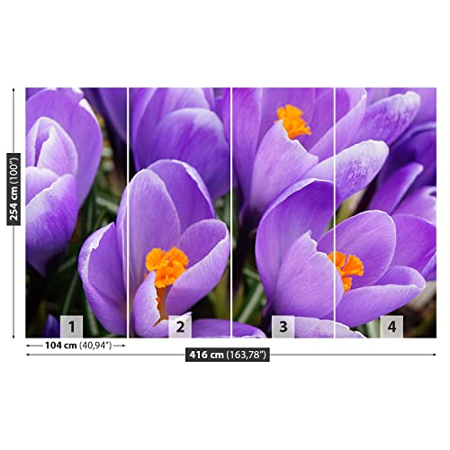Papier Peint Moderne Grand Format Décoration Murale Durable Crocus Violets 416x254cm - 6