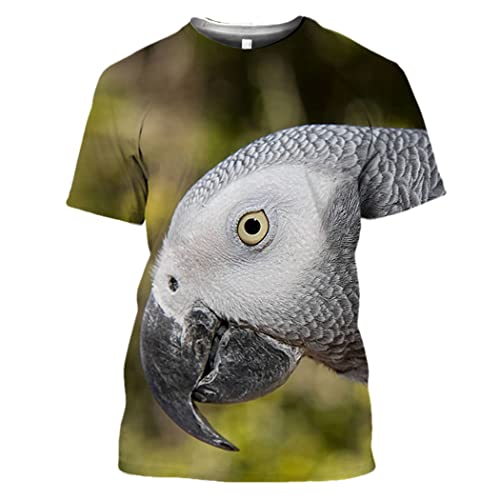 T-shirt Perroquet Gris 6XL Anti-Serrage Haut Ample Col Rond Style Hip Hop