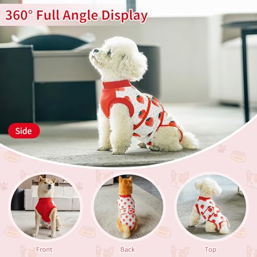 Image of Dog Recovery Suit After Surgery, Dog Surgery Suit Female Spay Recovery Suit for Small Medium Dogs, Prevent Licking Dog, Dog Wound Care Shirt Cone Alternative for Wound Protection(M)