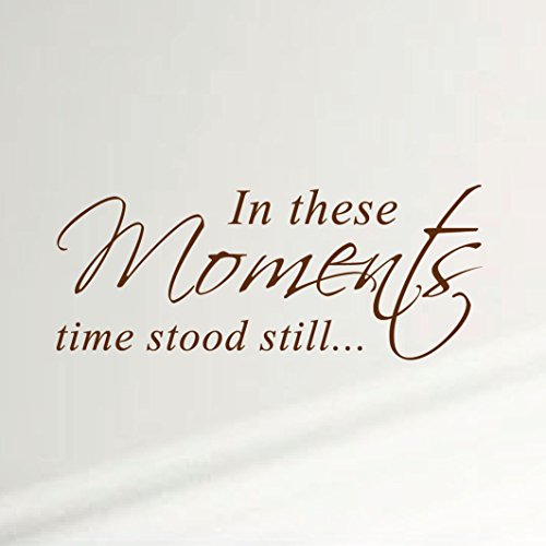 Innovative Stencils in These Moments Time Stood Still Home Wall Decal Sticker Family Quote Art #1292 (28" Wide X 11.5" High) (Matte Brown)
