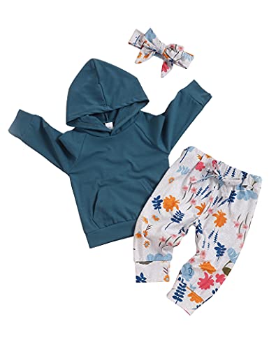 Image of Okgirl Baby Girl Clothes Hoodie Sweatshirt Flower Pant Headband Toddler Girls Fall Winter Outfits Clothes Set(6-12 Month)