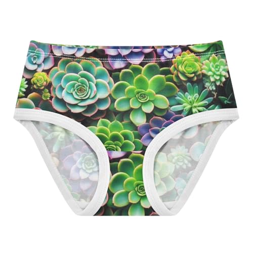 Cotton Girls Underwear Toddlers Succulent Plant Colorful Girl Panties Cute Stylish Kids Briefs Undies 2t