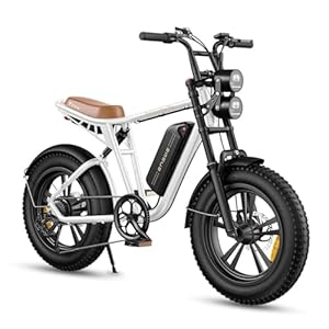 ENGWE M20 E-bike voor heren, elektrische fiets, met batterijen, 48 V, 26 Ah/13 Ah, 20 inch, tot 150 km/75 km, 7 versnellingen