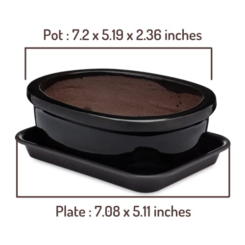 Bonsiac Mini Bonsai Japanese Style Bowl Planters With Seeping Plate - Shallow Planter Pots With Drainage Tray And Terra Cotta Glazed Finish #TOP2
