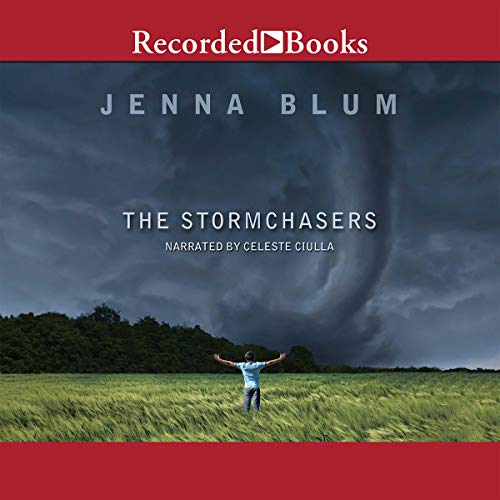 The Stormchasers 1664506381 Book Cover