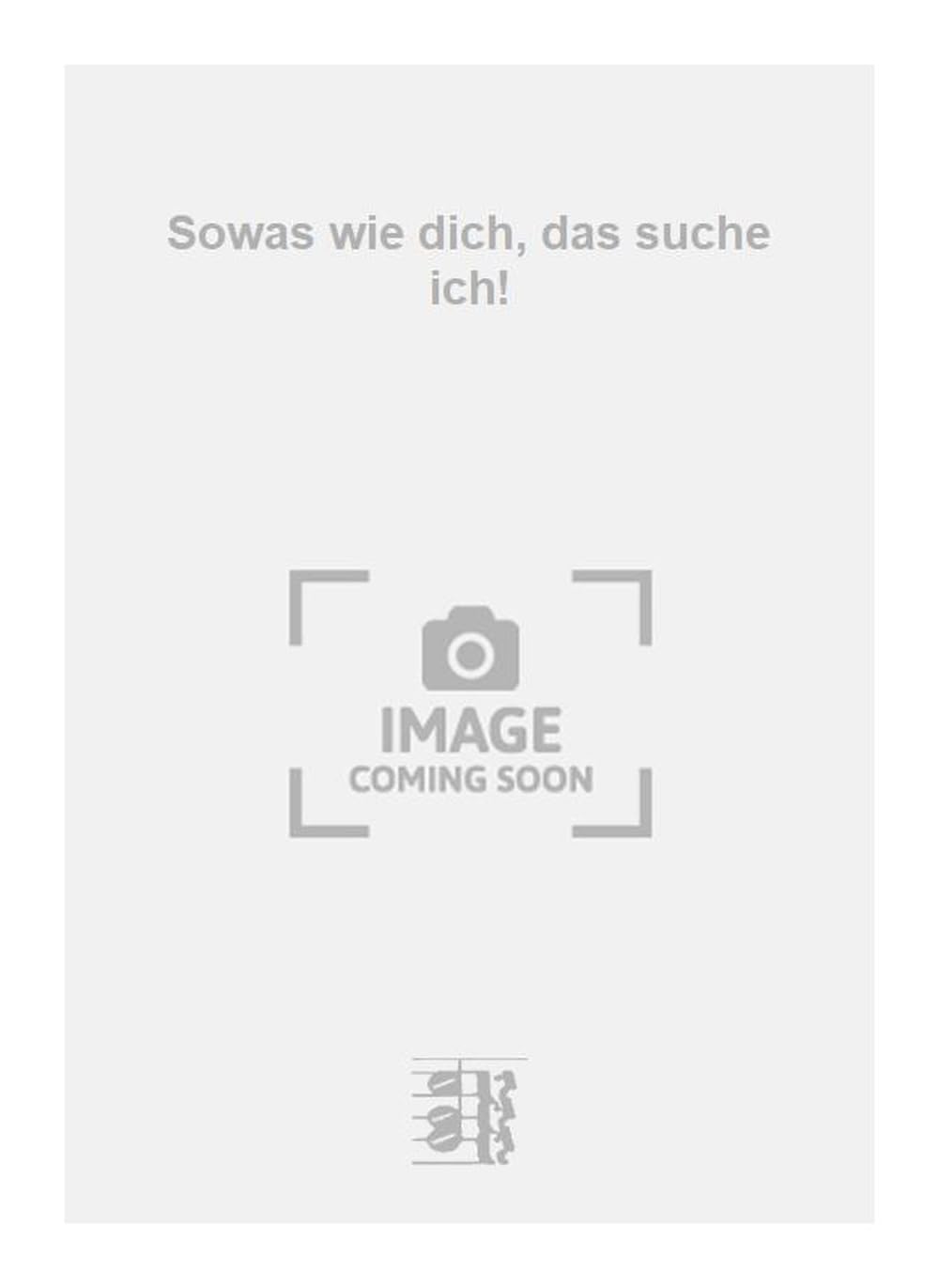 Sowas wie dich, das suche ich!. Vocal And Piano.