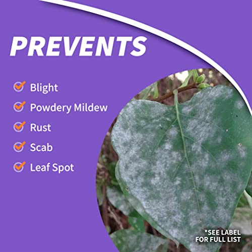 Bonide 150 Infuse Systemic Disease Control, 32 Oz Ready-To-Spray Solution For Lawn & Landscape thumb #2