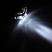 Taken by Outdoors Adjustable Water Resistant LED Headlamp