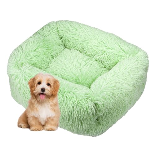 DOTBUY-SHOP Dog Bed Washable, Soft Comfy Cat Bed Macaroon Color Rectangular Dog Bed, Pet Bed With Slip-Resistant Bottom, Orthopedic Dog Beds Gift for Small Dogs Cats (M,Sage Green)