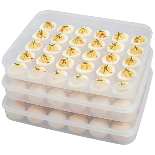 Ferrochef 3 Pack Deviled Egg Containers with Lid, 60 Slot Plastic Egg Holders for Refrigerator, Clear Storage Deviled Eggs Carrier for Party, Picnic, Travel, Camping